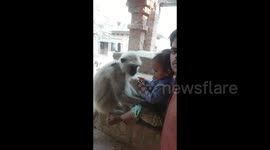 Video of a monkey hugging a little kid shows the cute and beautiful relationship in between them