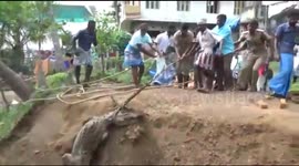 Firefighters rescue giant crocodile from garden pit in India