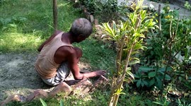 Gardener Cutting Grass in the Garden