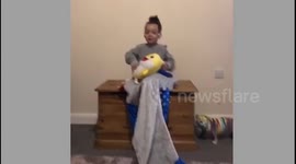 Baby shark