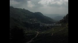 Tea plantation in Sri Lanka