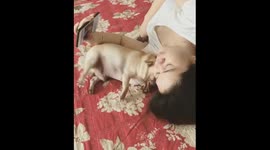 Don't play with the phone. Please! play with me.