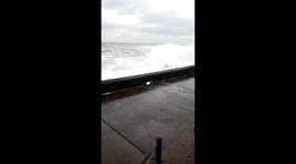 Tiny dog loves to play chase with huge tidal waves at British coastal village