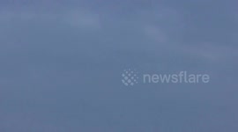 Starling Murmuration pt6 thousands drop Walberswick National Nature Reserve Suffolk UK 7Jan19