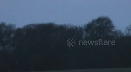 Starling Murmuration pt9 tens of  thousands  Walberswick National Nature Reserve Suffolk UK 7J