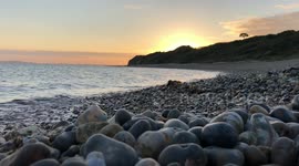 Dog running on the beach at sunset
