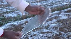 Cold wave causes severe frost in southern India