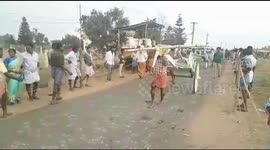 Bull Cart competitions held in the private college campus as part of the Coimbatore festival in India