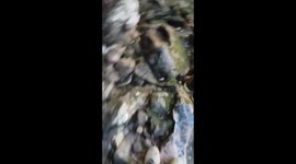 Hiking in the mountains