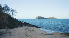 Aerial, beautiful seascape and a beach with tropical vegetation in Palm Cove, Queensland, Australia