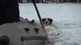 Locals pluck lost dog from icy river in perilous 4-hour rescue mission