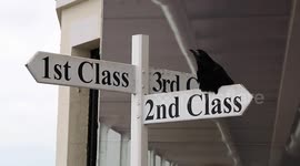 The talking crow gives a tour commentary at a Titanic museum in Ireland.