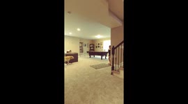 Dog doesn't like girl doing cartwheel.