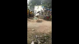 Two injured while Bull fell inside well while cleabreating Jallikattu in southern India