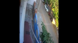 Squirrel Explosion | Crow pushes a Squirrel into a 11000 Volt Electrical Line