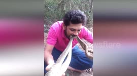 Brazilian man holds four venomous rattlesnakes in his MOUTH for rainforest awareness