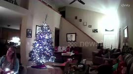 Xmas FAIL: Christmas Tree Crashing Down in the Living Room