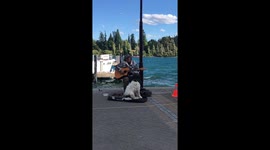 Busking dog