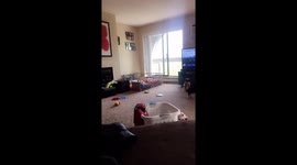 Dog jumps into ball pit like his life depends on it