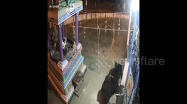 Boozing bear visits locked Indian temple looking for a swig of lamp oil