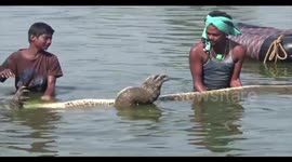 Longer Version: Indian villagers give teary farewell to 130-year-old 'friendly crocodile, to build memorial in its name