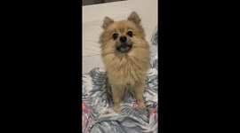 Big cute sneeze !