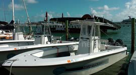 Boats docked in Biscayne Bay, Miami