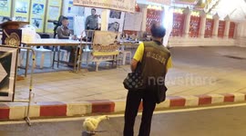 Man takes pet duck for walk with remote control