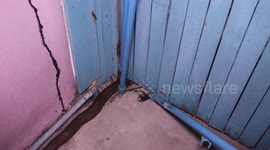 King Cobra caught after getting stuck under a wooden door