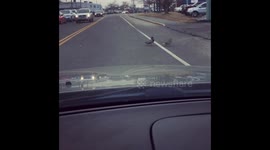 Make Way For Ducks