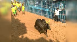 27  including a police constable injured in Jallikatu in southern India.