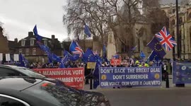 Anti-brexit demonstration outside Parliament on day of vote