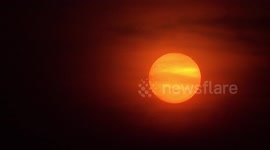 A stork flies past a big orange sunset.