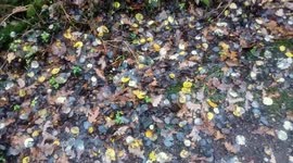 Colours Of Autumn