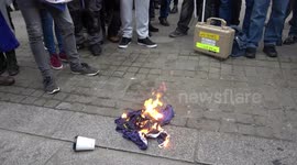 Yellow Vests set fire to EU flag ahead of Brexit vote in Parliament