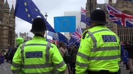 Yellow Vests set fire to EU flag ahead of Brexit vote in Parliament