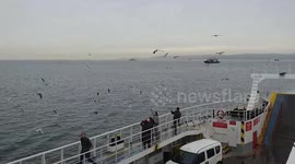Happy children feeding seagulls on a boat