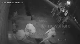 Horror moment car ploughs into Sikh devotees returning from night prayer in northwest India
