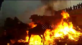 Cattle and their owners run through flames in south India for Hindu ritual