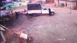 Terrifying moment man gets gored by his own bull