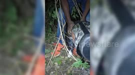 Street dog that got its head stuck inside a plastic jar rescued after hours-long operation in India