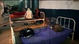 Stray dogs are now taking hospital beds in east India