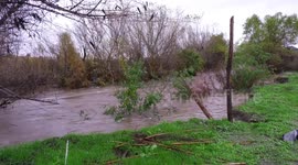 Riverside, CA: 20 People Saved by Rushing Water in Santa Ana River Bottom