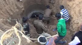 Rescuers in race against time to pull out bull from 30-feet deep well