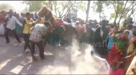 Dancing horse gets out of control at Indian wedding and charges into crowd