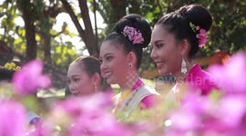 Beautiful scenes from umbrella festival in northern Thailand as local women wear traditional costume