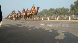 Enormous military parade of camels march through New Delhi