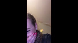 Twinkie the parrot bops along to sound of own squawking