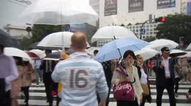 A rainy day in Tokyo is Just Crazy.
