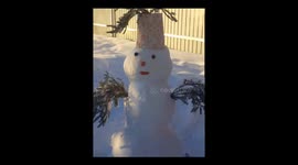 Bear and snowman